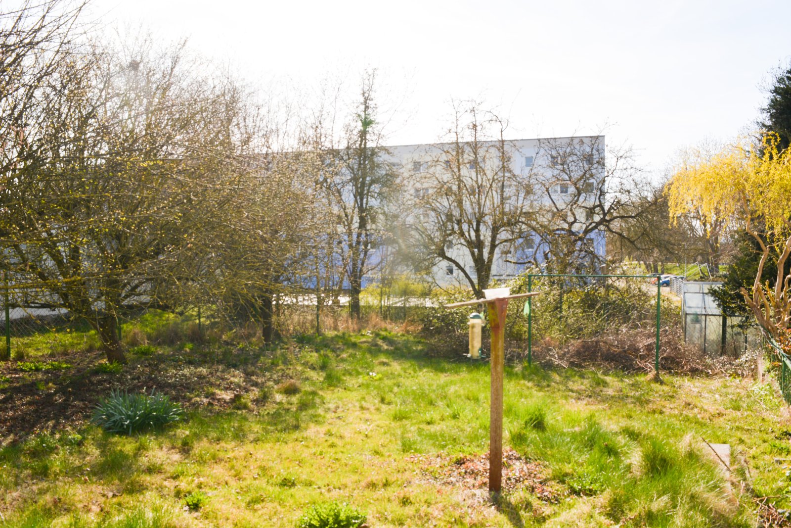 NEUER KAUFPREIS! Ein großes Fleckchen Grün in Sagard: Bungalow sucht neuen Eigentümer!
