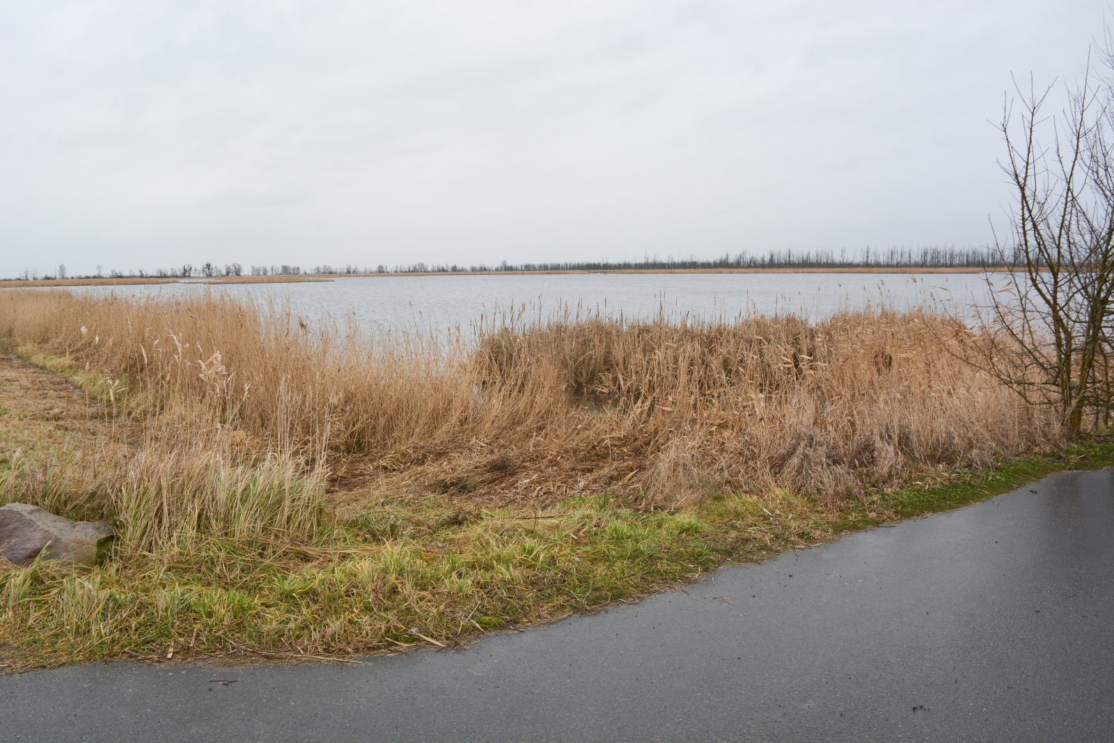 Blick auf das Stettiner Haff in ca. 1km