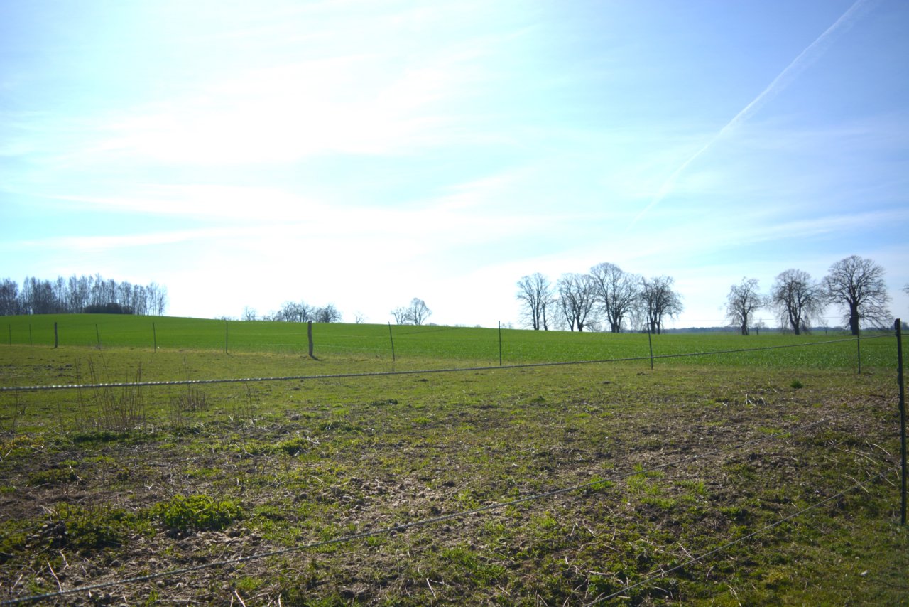 Ausblick Ausblick
