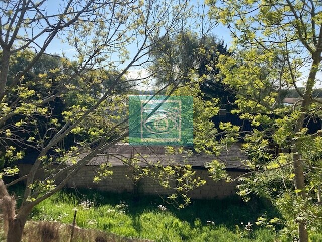 Boddenblick Boddenblick
