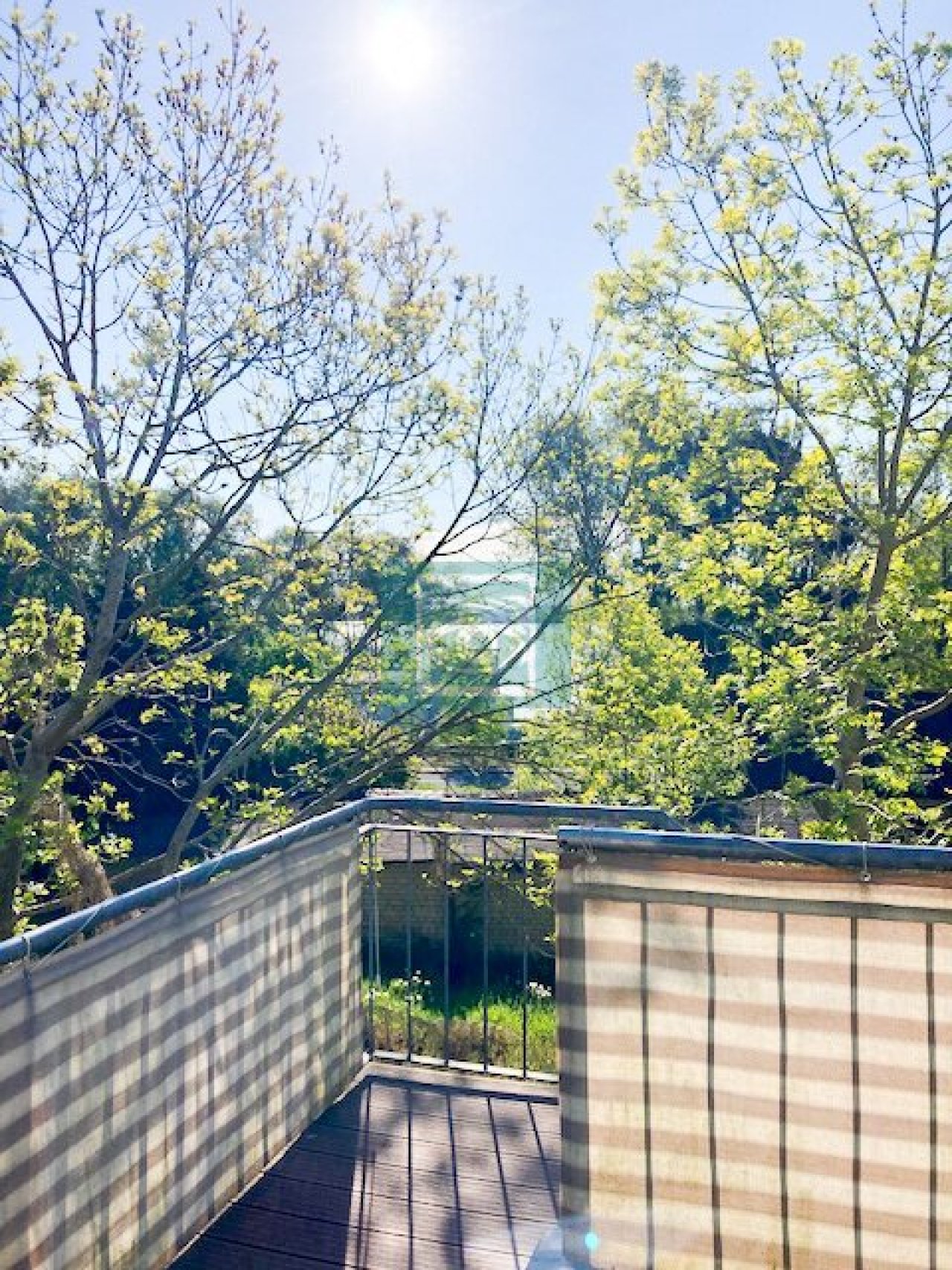 Dachterrasse  Fewo m. seitlichem Boddenblick