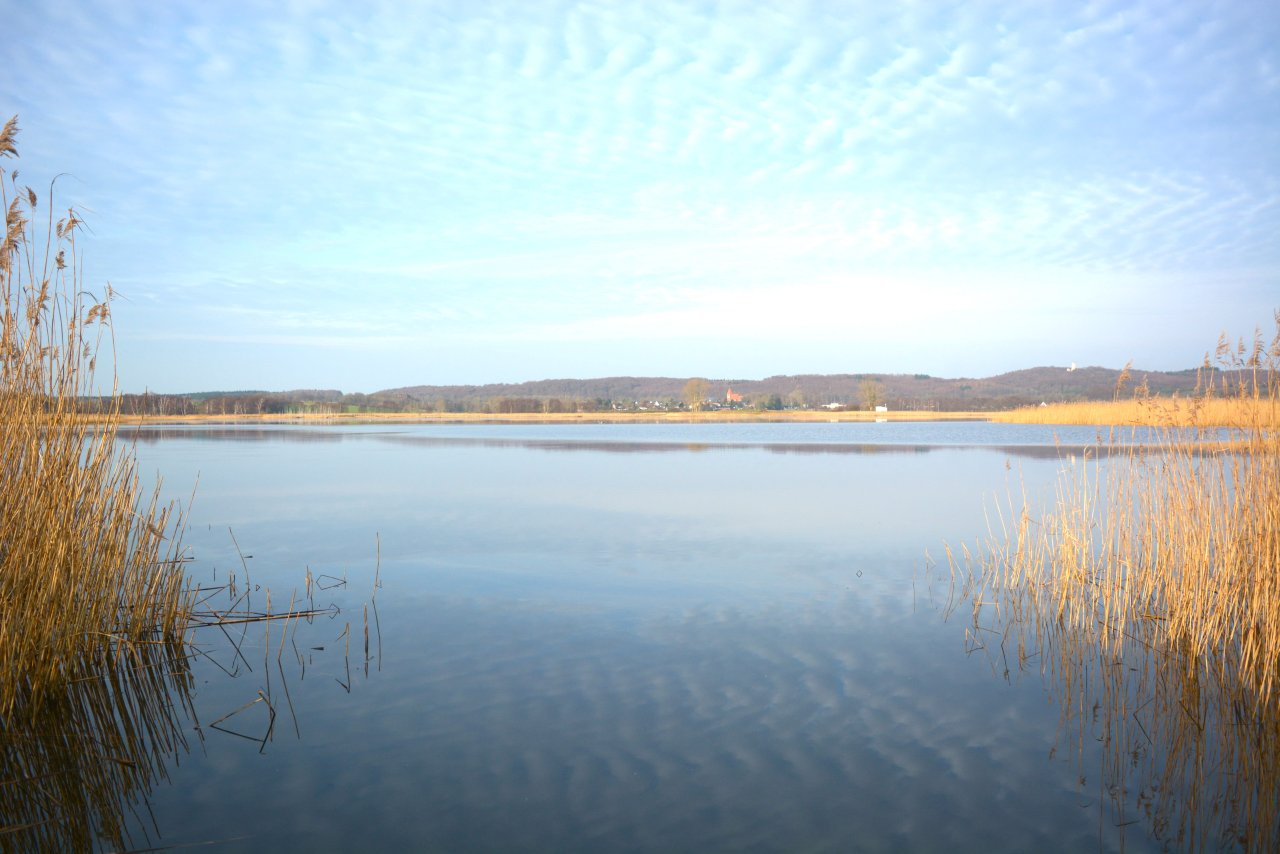 Neuensiener See
